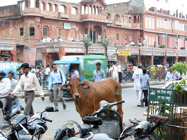 FOTOS Y RELATOS DE MI VIAJE A INDIA Y NEPAL - Foro Subcontinente Indio: India y Nepal