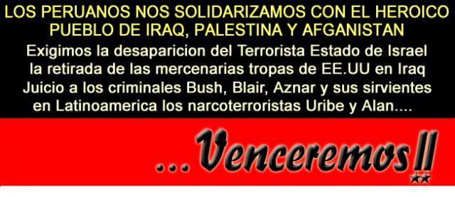 solidaridad palestina