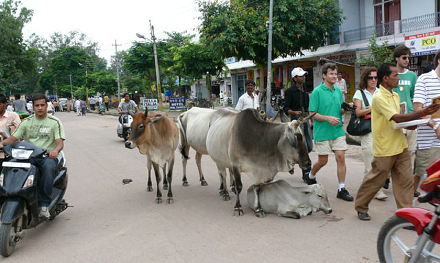 FOTOS Y RELATOS DE MI VIAJE A INDIA Y NEPAL - Foro Subcontinente Indio: India y Nepal