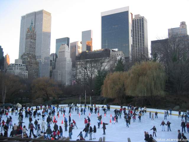 Nueva York en visperas de Navidad - Nueva York en visperas de Navidad (9)