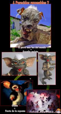 Imagen