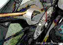 b7e7f55f.jpg