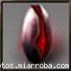 fotos.miarroba.com