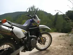400x300px - 24.1 Kbytes