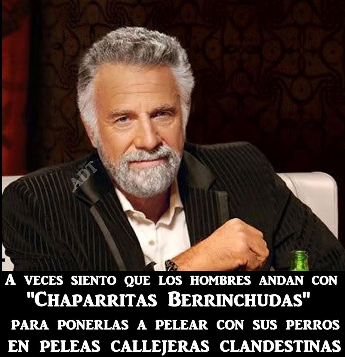 Amigos De Tamaulipas Hombres Cabrones Frases En Imagenes