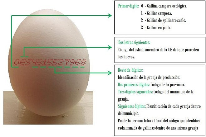 Recipiente para huevos con etiquetado varios huevos Hega 16736 