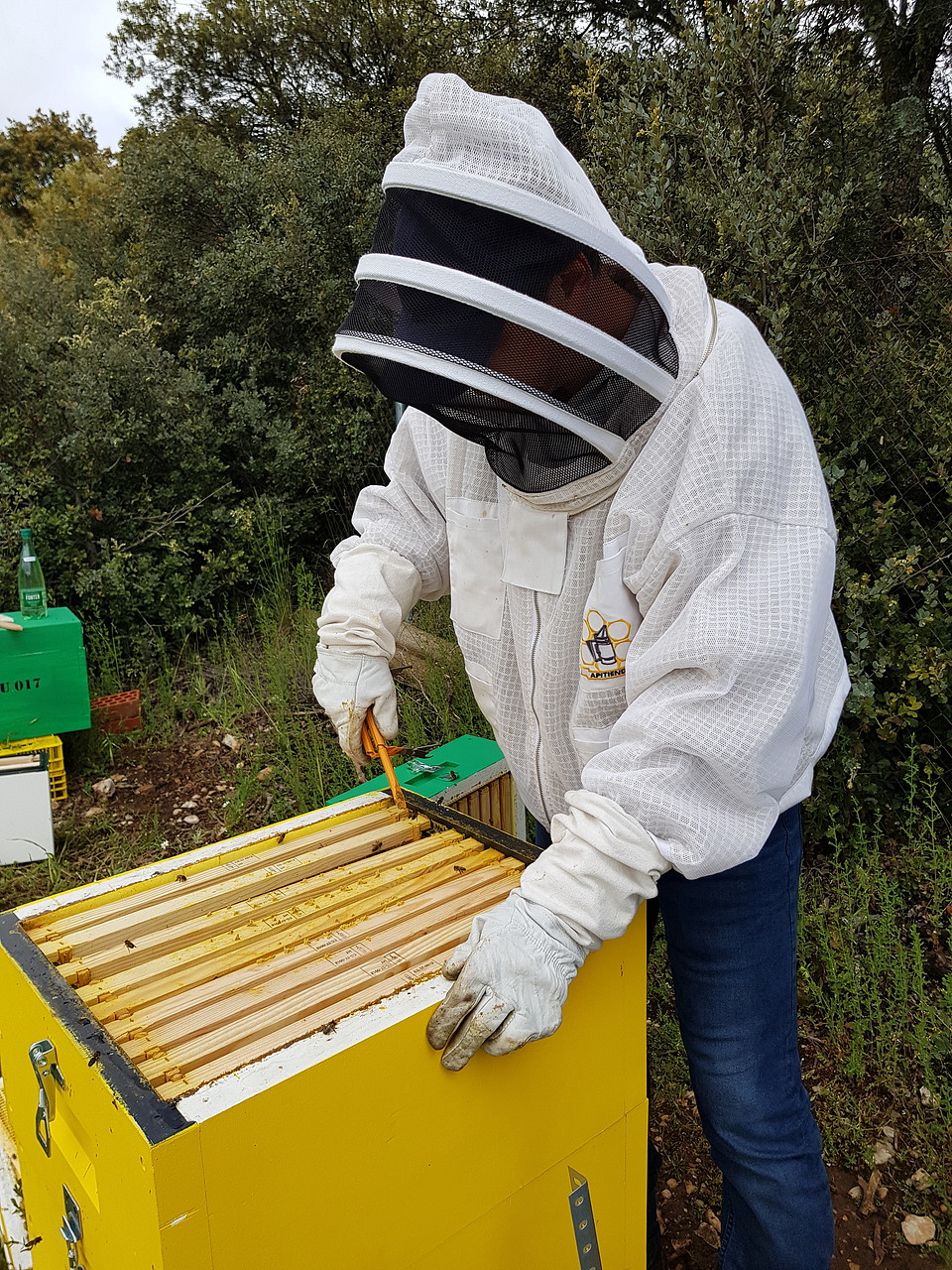 Traje apicultor ICKO Integral Combi Pro - Trajes de apicultor