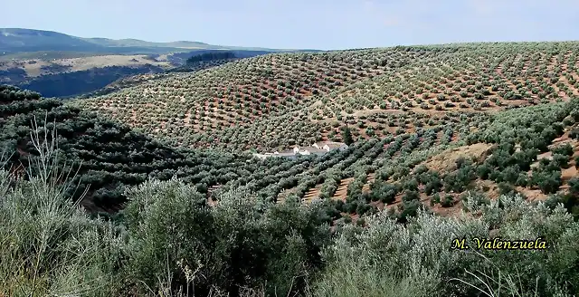 02, las puercas, marca