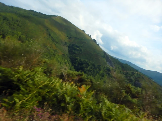 DSCN4416 DSCN4416