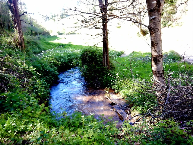 DSCN0060 DSCN0060
