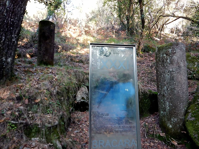 DSCN1693 DSCN1693