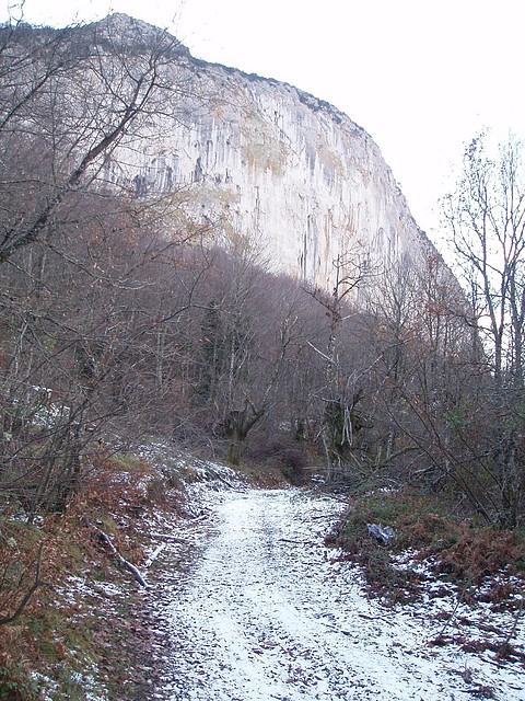 1 1