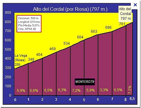 perfil cordal