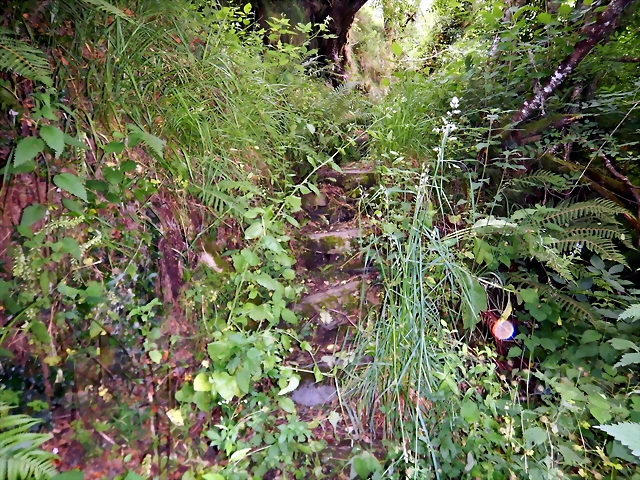 DSCN7496 DSCN7496