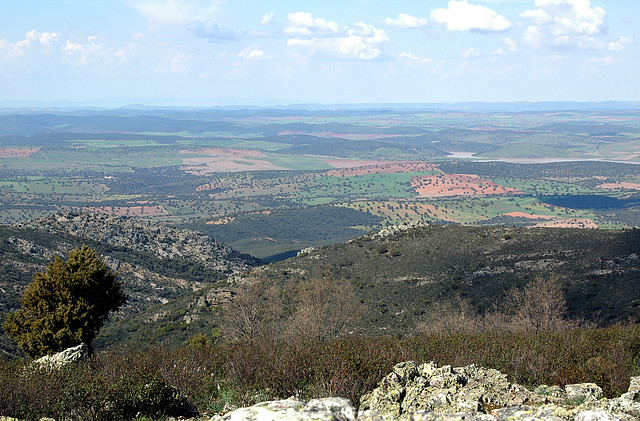 SIERRA DE S. ANDRES (123)