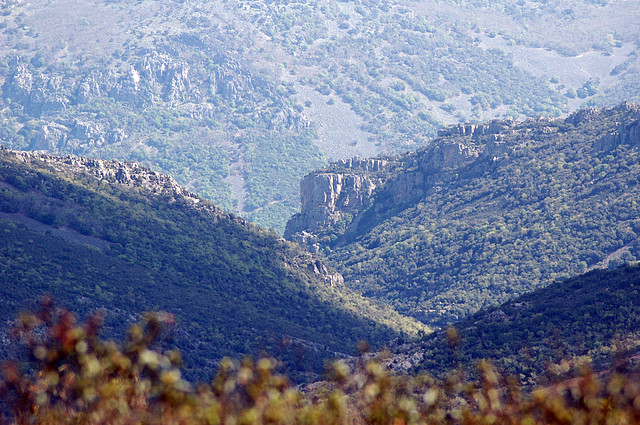 SIERRA DE S. ANDRES (110)