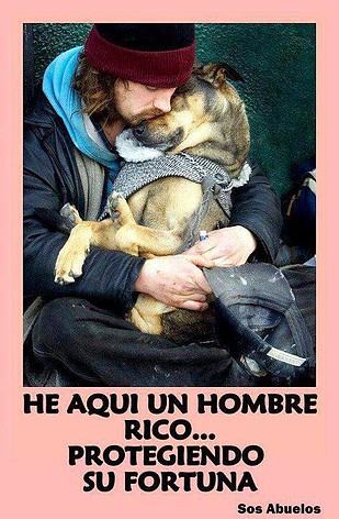 Perro y hombre