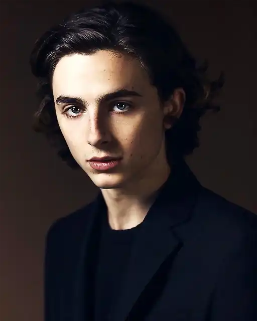 timothee-chalamet-1515528996