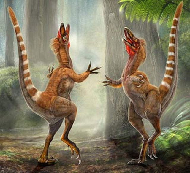 Sinosauropteryx Sinosauropteryx