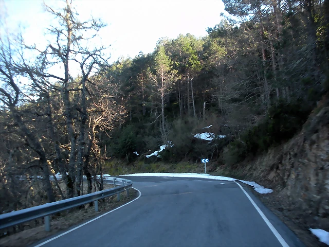 DSCN2919 DSCN2919