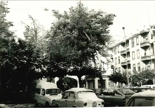 Alberic Valencia 1983 (2)