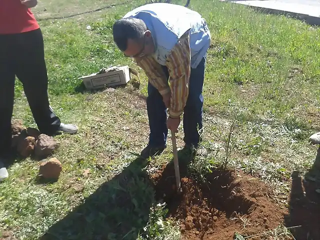 Salvad el Alto-siembra de arboles-Riotinto---A PIE DE CALLE (12)