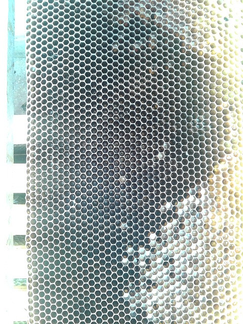 20130328_120023