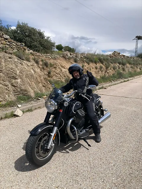 guzzi