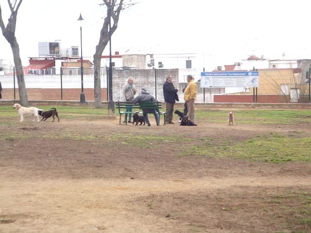 foro-Parque para perros en Huelva-15.02.14-J.Ch.Q 10