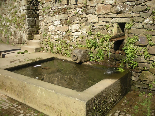 DSCN3055 DSCN3055