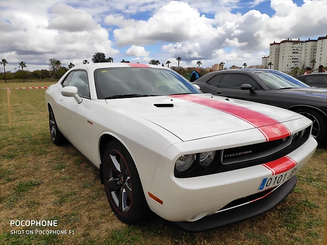 IMG_20190406_133635 IMG_20190406_133635