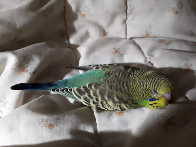 20190402_210649 20190402_210649