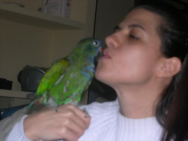 DSCN0133 DSCN0133
