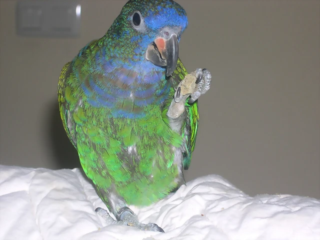 DSCN0150 DSCN0150