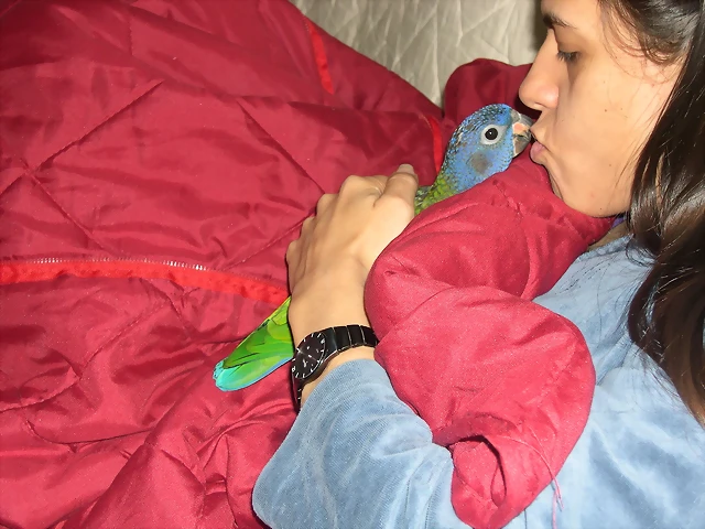 DSCN0442 DSCN0442