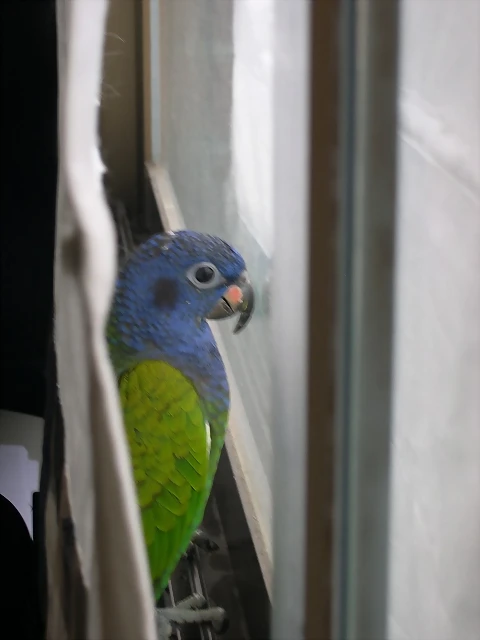 DSCN0482 DSCN0482