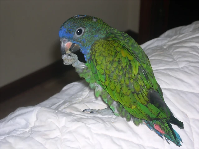 DSCN0145 DSCN0145