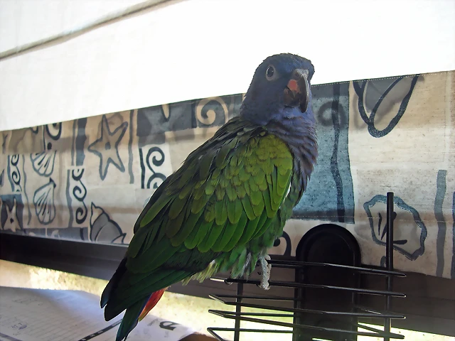 DSCN0426a