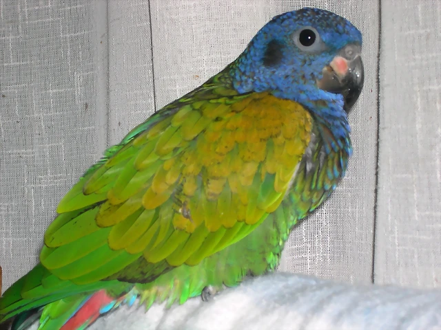 DSCN0475 DSCN0475