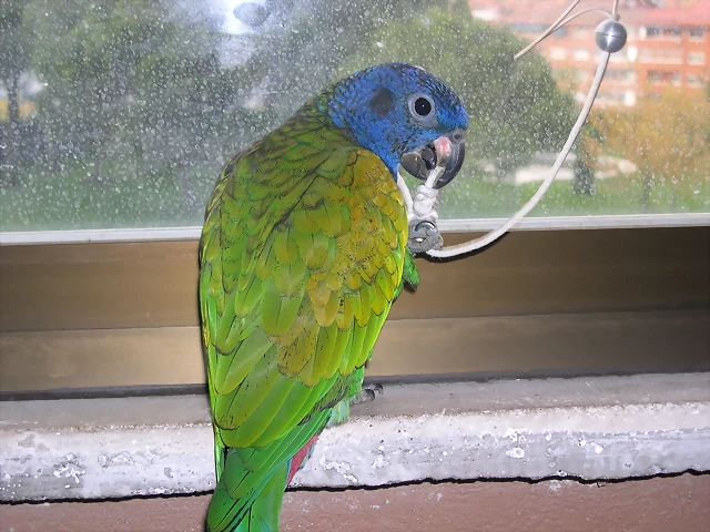 DSCN0500 DSCN0500