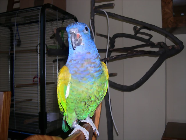 DSCN0416 DSCN0416