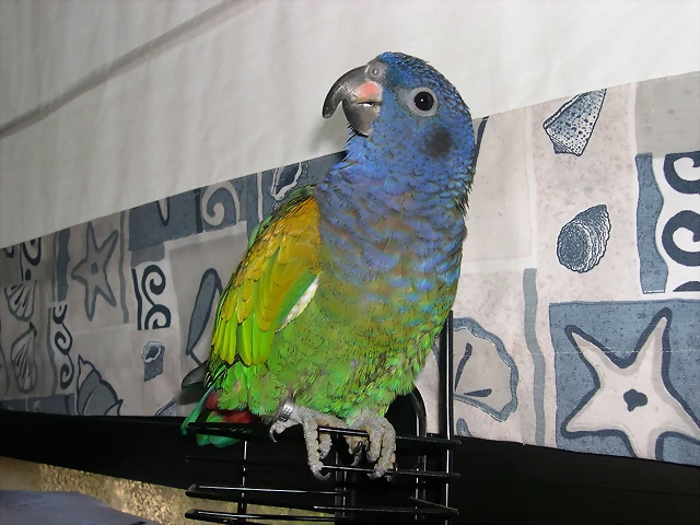 DSCN0432