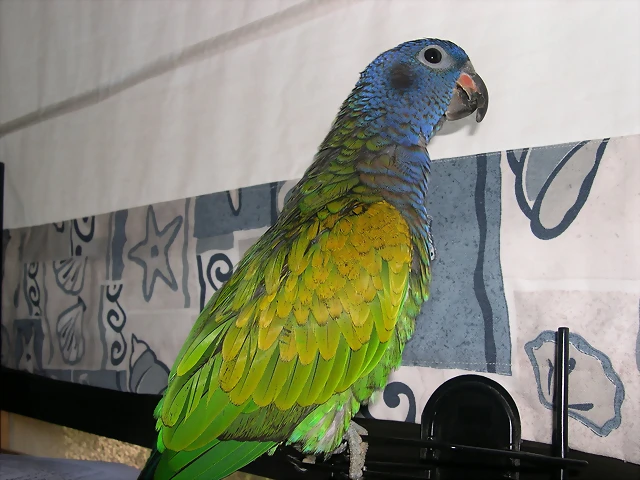 DSCN0427