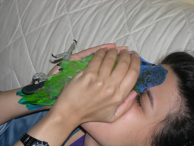 DSCN0445 DSCN0445