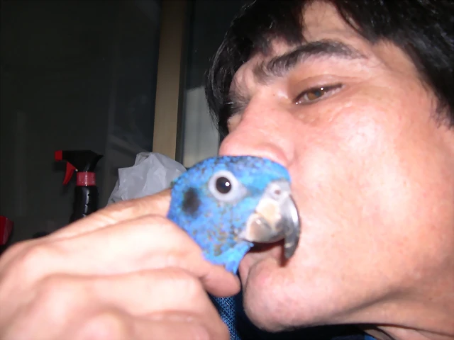 DSCN0504 DSCN0504