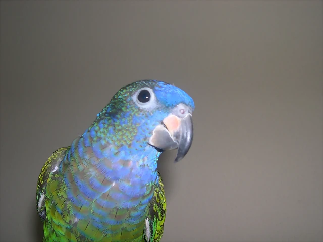 DSCN0165 DSCN0165