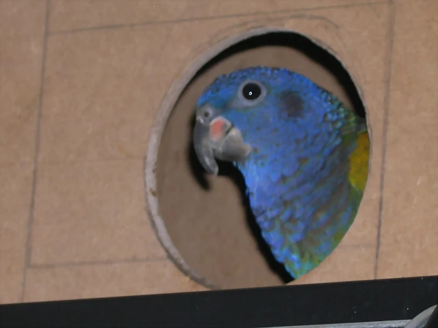 DSCN0409 DSCN0409