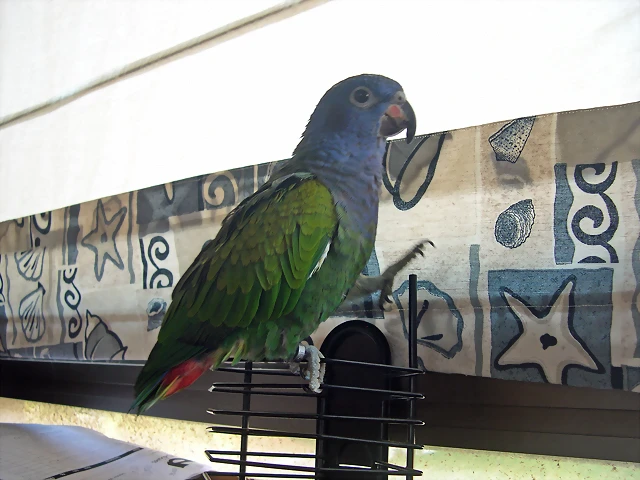 DSCN0429A