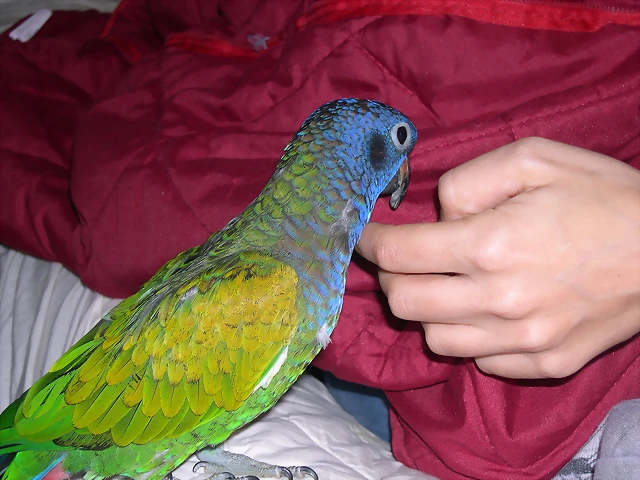 DSCN0438