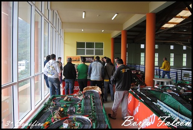 Benefico 2011 (3) 043